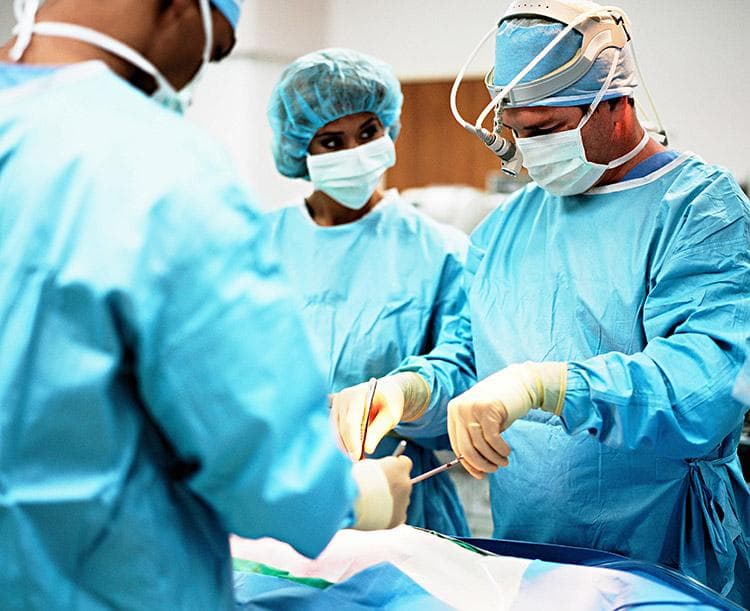 BOA NOTÍCIA: Pela primeira vez, rim de um animal é transplantado em humano