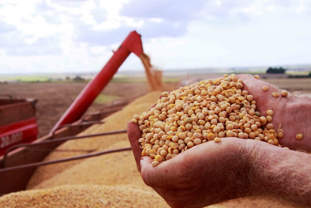 Minas Gerais inicia 2022 com novo recorde nas exportações do agronegócio