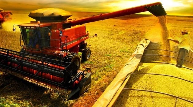 Agronegócio já representa 22,6% do Produto Interno Bruto do estado