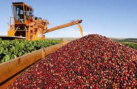 Exportação de café solúvel do Brasil cresce 29% em abril e 1% no ano